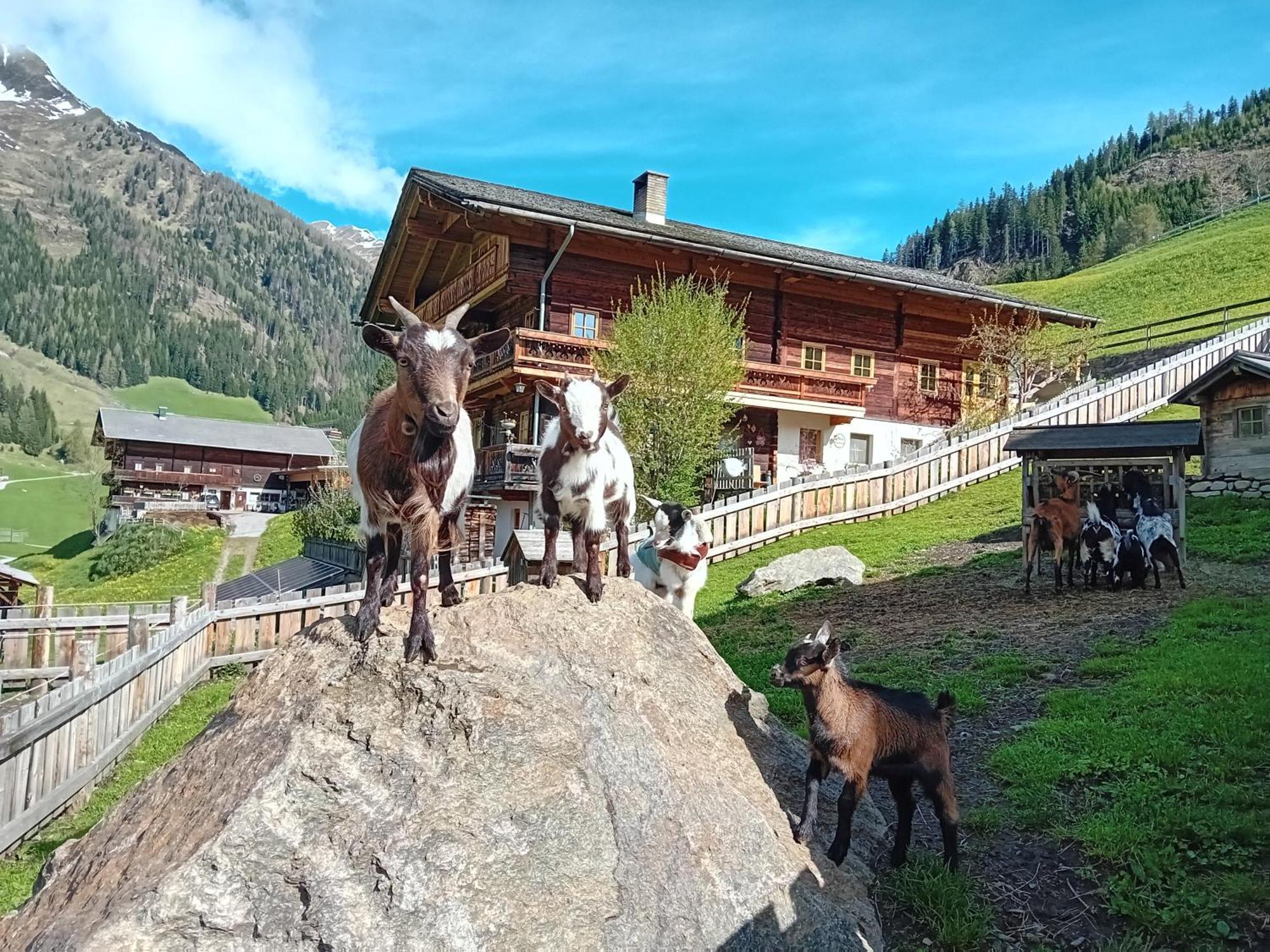 Ferienhaus Egger Innervillgraten Exterior foto